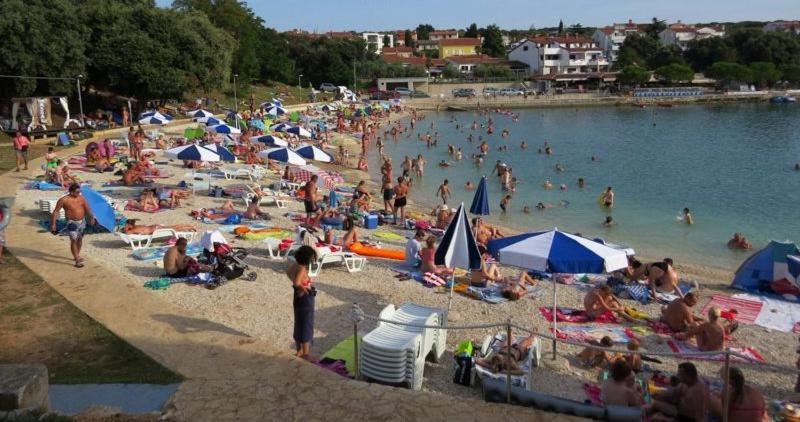 Beach Apartment With Large Terrace 50M From The Beach Pjescana Uvala Exterior photo
